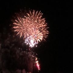 Mariposa 여행 사진