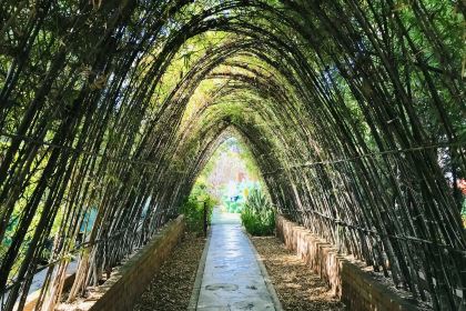 MIFFY'S GARDEN CAFÉ