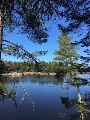 Lake of the Woods Museum