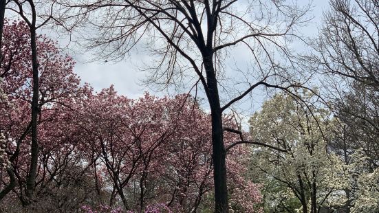 幾個國家的園林組合在GArden Admission公園、 