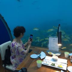 ITHAA UNDERSEA RESTAURANT ảnh của người dùng