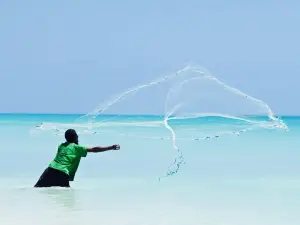 Portes du Paradis