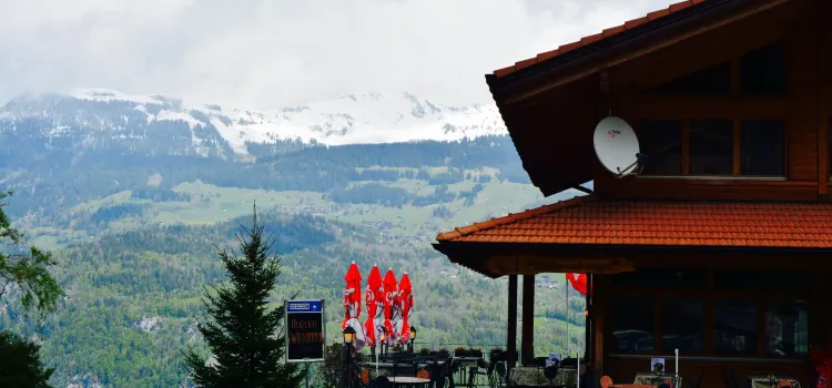 Panoramahotel Gasthaus Zwirgi