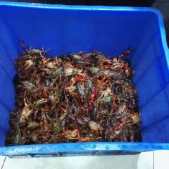 細毛蒸蝦張用戶圖片