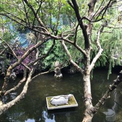 PANXI·RESTAURANT User Photo