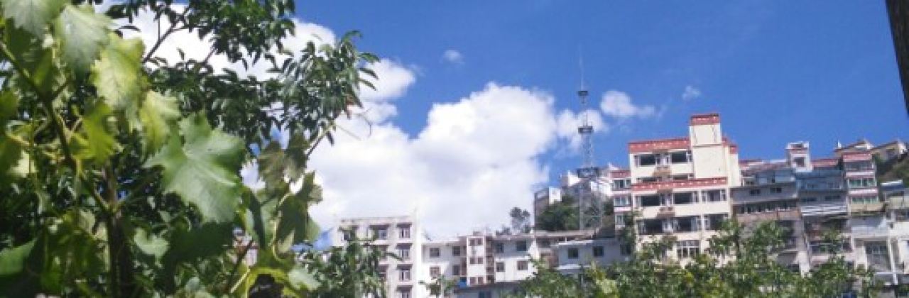 XIAO JIN GU QING ZHEN YUAN