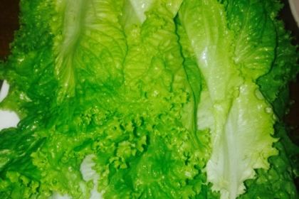 BAO WEI JU CANG GU HUO GUO DIAN