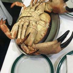 PINOQUIO 여행 사진
