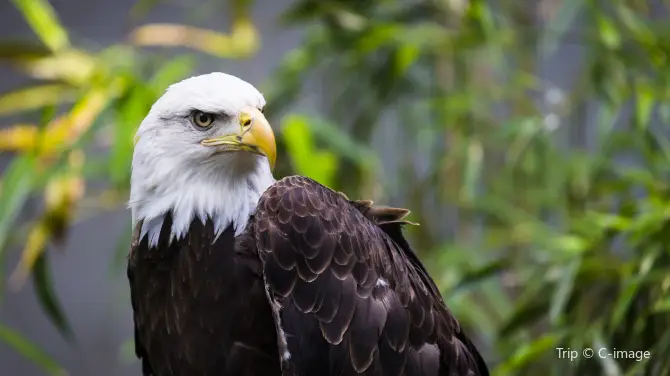 2_Bronx Zoo
