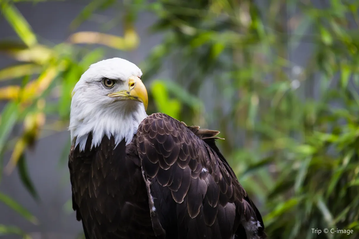 2_Bronx Zoo