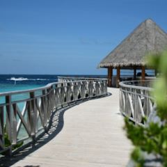 Sand Bar 여행 사진