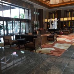 XI XI XI LAI DENG User Photo