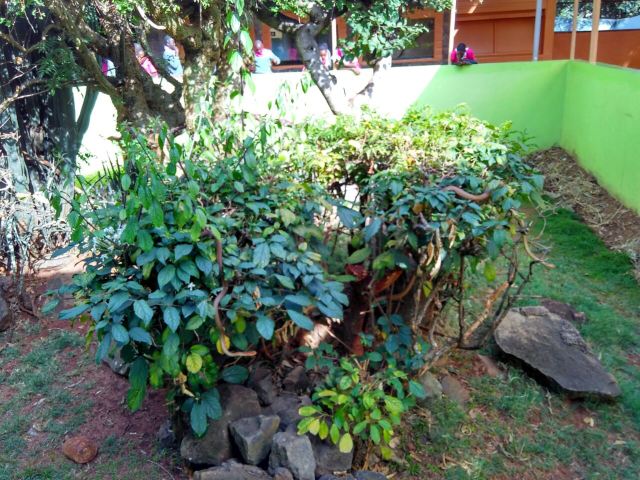 Snake Park