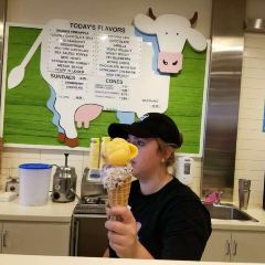 Cows Icecream User Photo