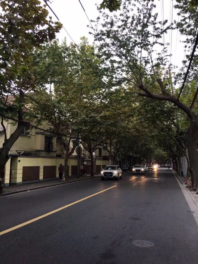 科利烏爾鎮