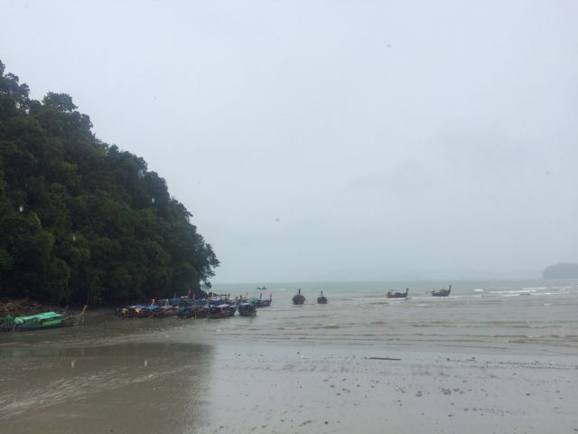 Wangsai Seafood