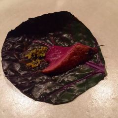 noma User Photo