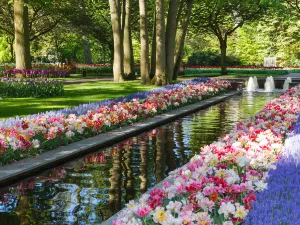 Orto botanico di Amsterdam