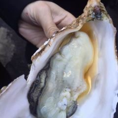 狐狸屋牛丼張用戶圖片
