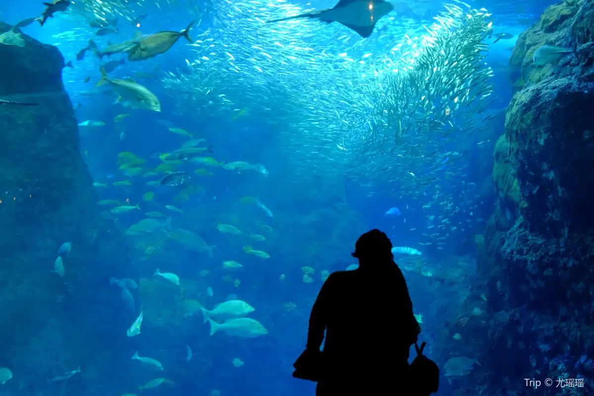 Enoshima Aquarium