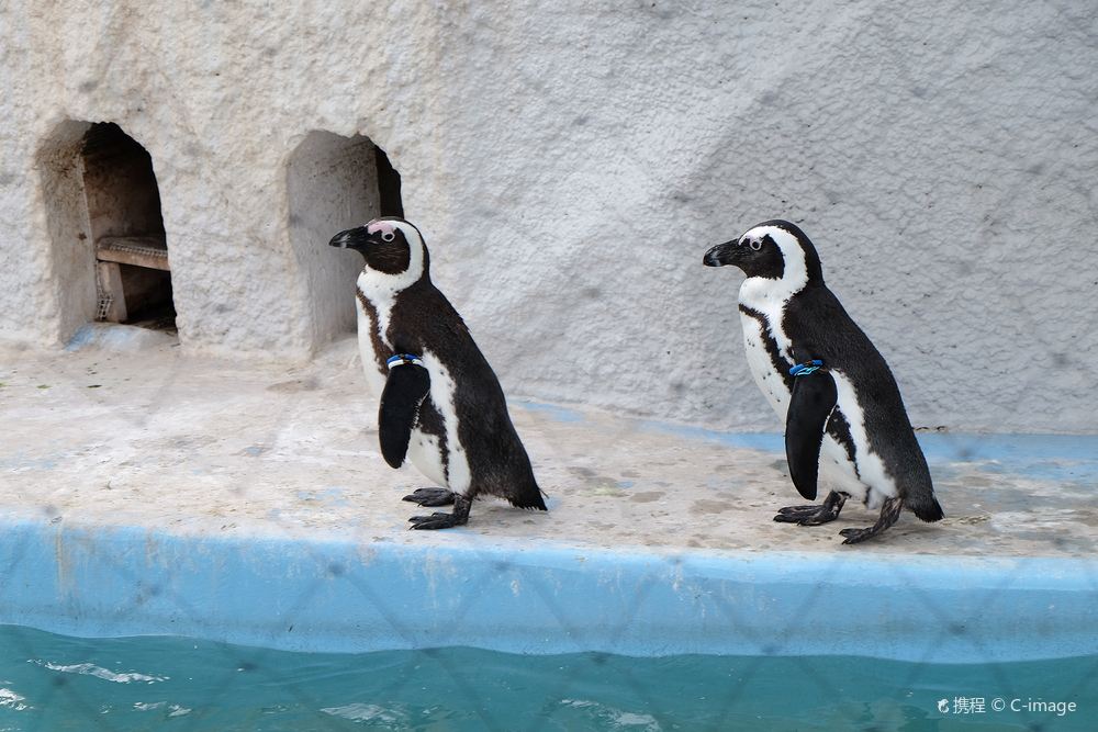 Ueno Zoological Gardens