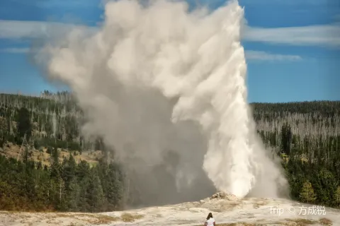 Old Faithful