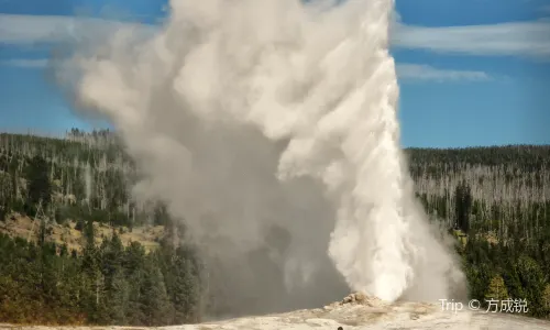 Old Faithful