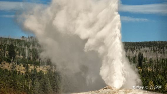 Old Faithful