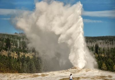 Old Faithful Geyser