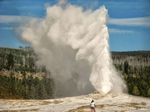 Old Faithful