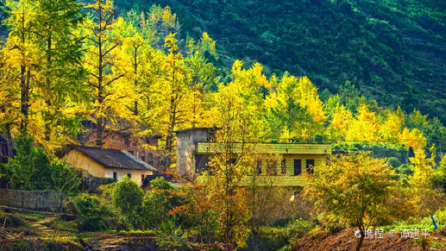 【小團/私家團】桂林海洋銀杏+畫眉弄村+大圩古鎮一日遊