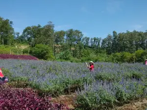 สวนวัฒนธรรมกลิ่นหอมของภูเขาแห่งความฝัน