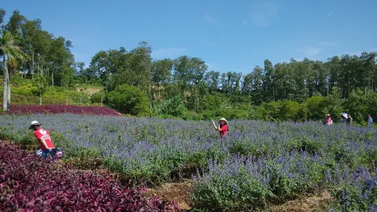 Dream Xiangshan Fragrant Cultural Park