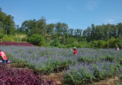 Dream Xiangshan Fragrant Cultural Park