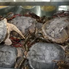 乡土烧烤城 User Photo
