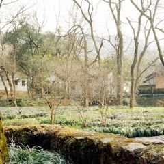 Hangzhou House User Photo