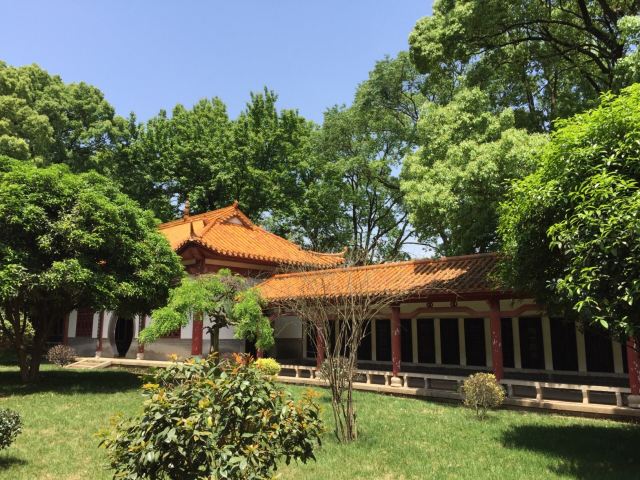 취쯔츠