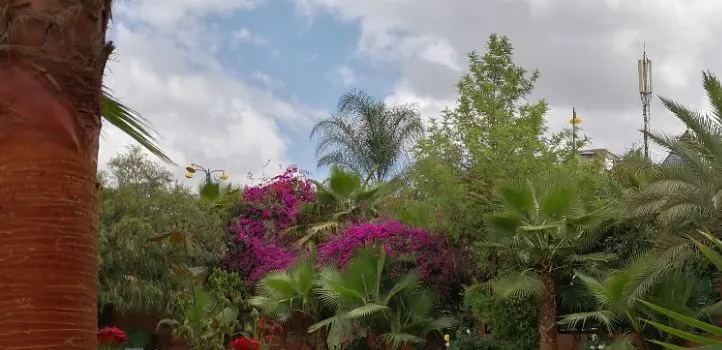 Les Jardins de Sheherazade