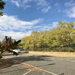 Oakridge Wines User Photo