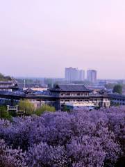 Liang Shan Shuihu Jiu Culture Experience Hall