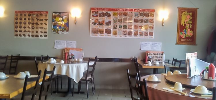 Dim Sum Delight