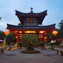 Tang Dynasty Art Garden Hotel Xi'an Shanxi Guan Fu Cuisine User Photo