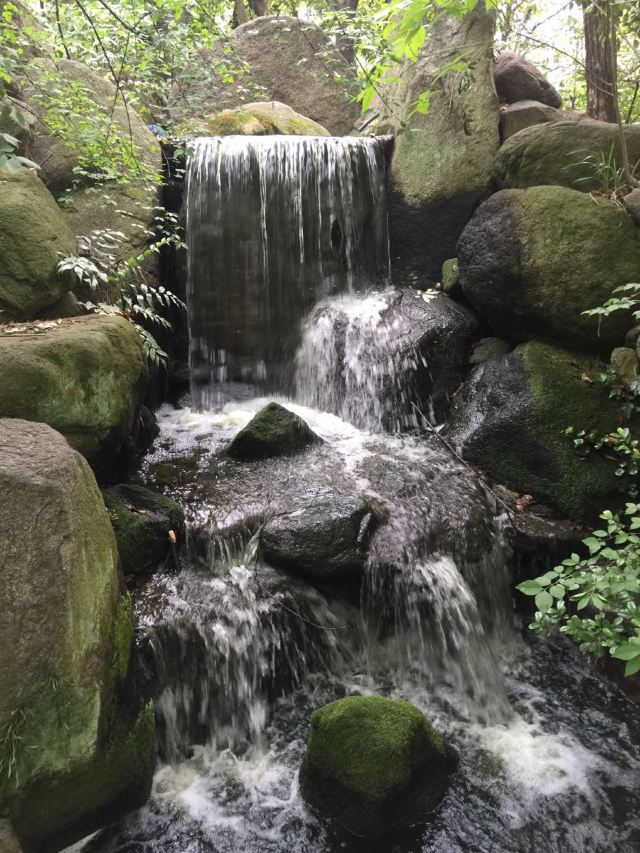 라쿠스이엔