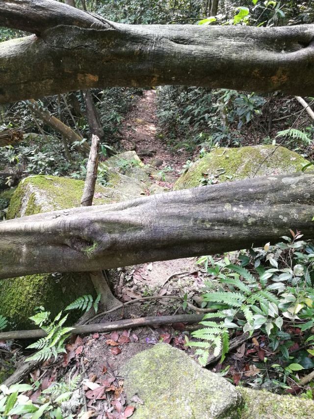 관음산