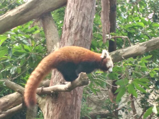 Taronga Zoo