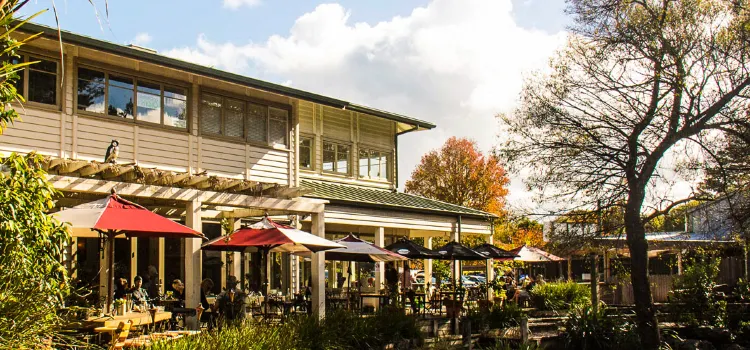 Matakana Market Kitchen