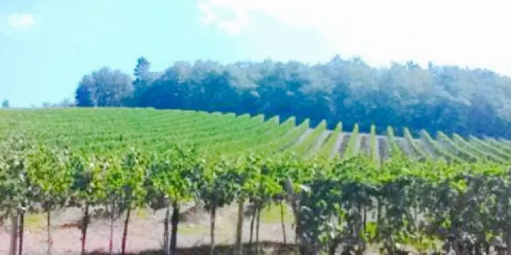 La Cantina di Colle Bereto