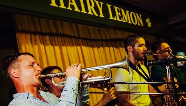 Hairy Lemon