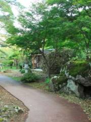 Castle Tower Nature Park