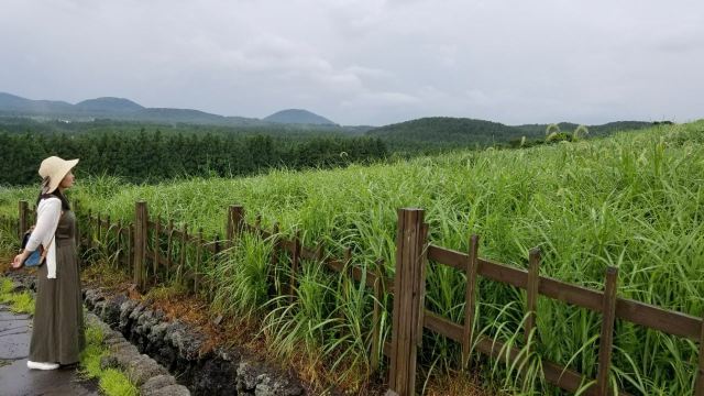 山君不離